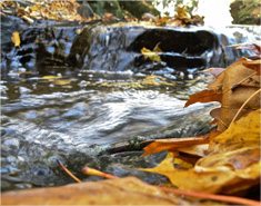 骚扰神器24小时轰炸免费